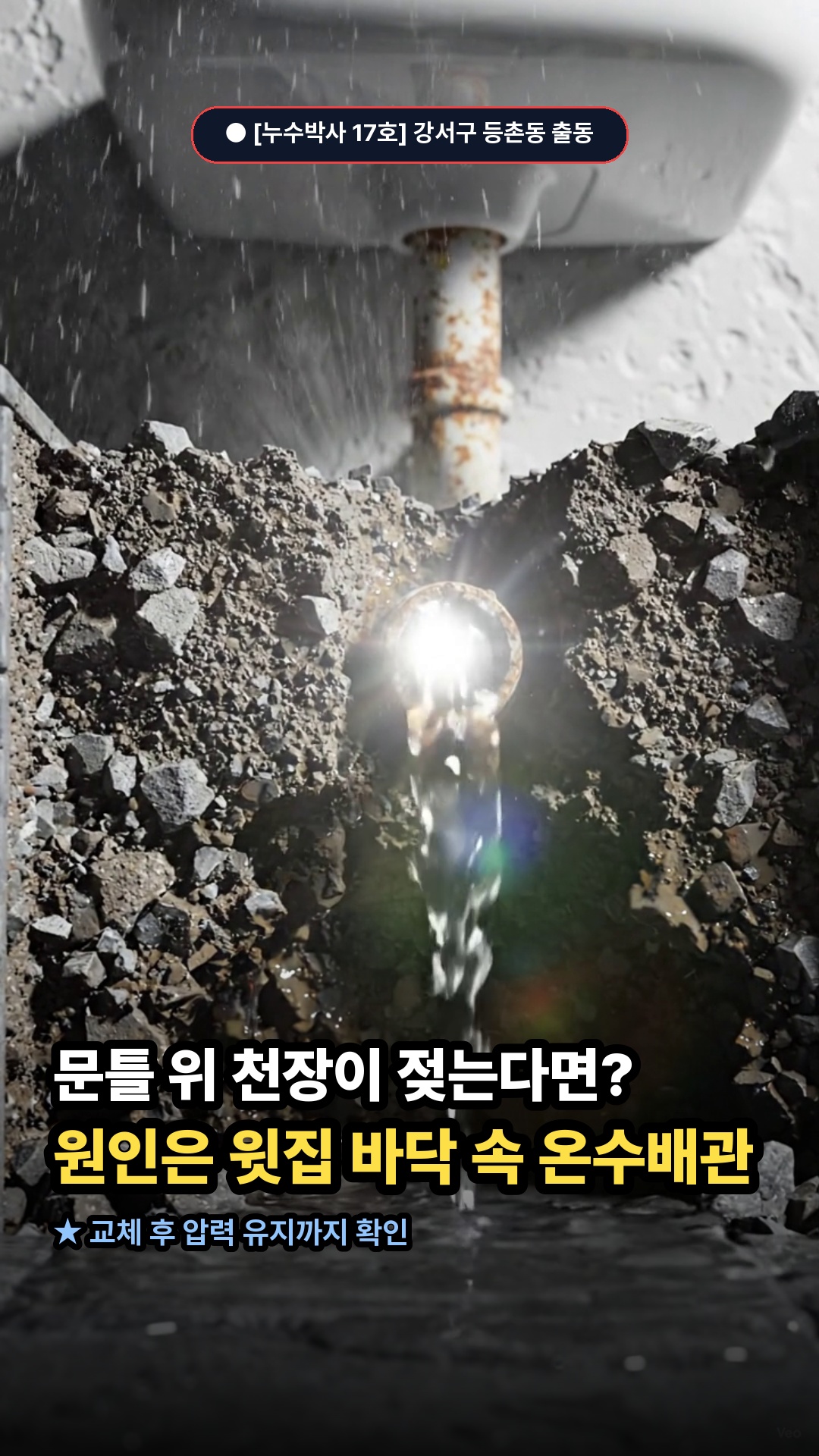 17호 영상 썸네일