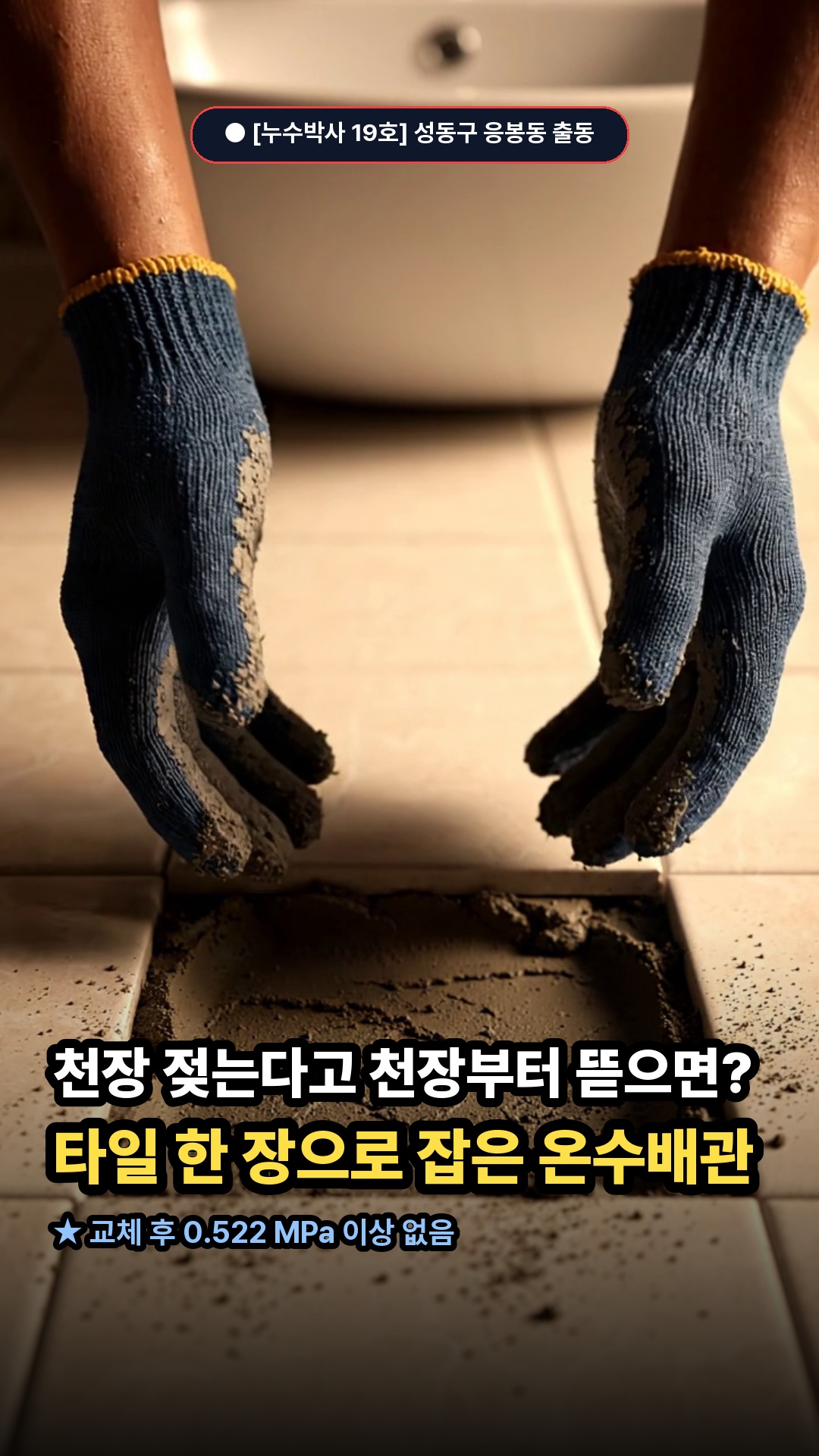 19호 영상 썸네일